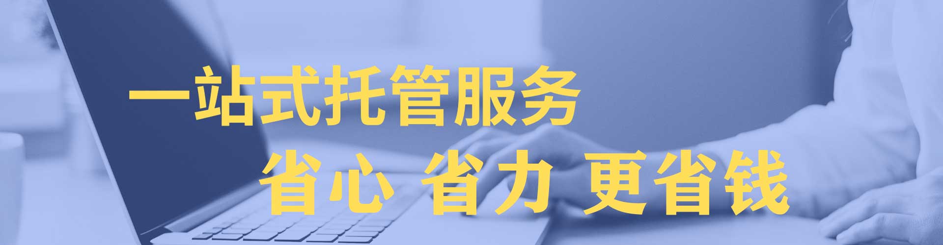 杉林网络推广竞价